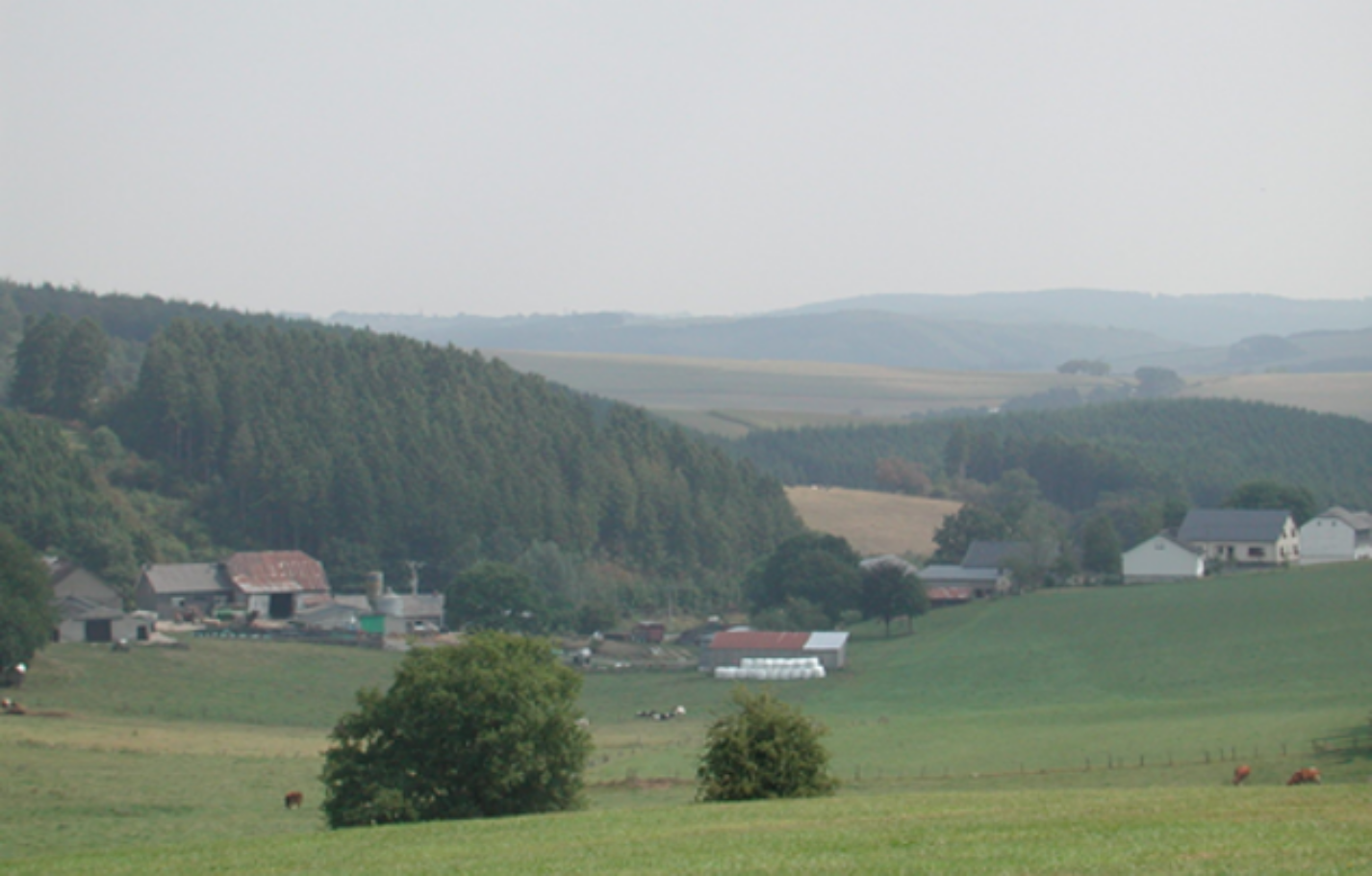 alster-landschaft-1