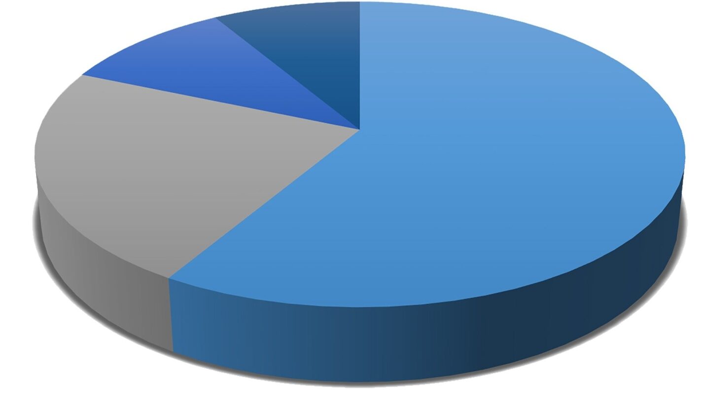 bild-kreisdiagramm-1