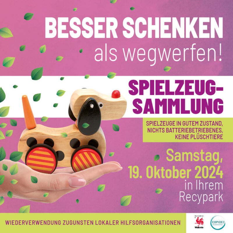 Sammlung von Spielzeug im Recypark am 19.10.2024